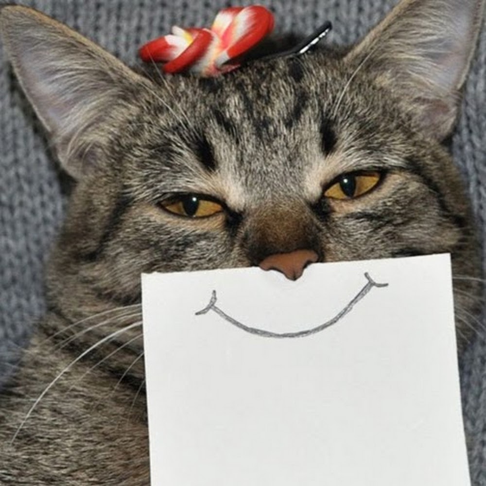 Meet your Posher, Danay